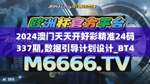 2024澳门天天开好彩精准24码337期,数据引导计划设计_BT46.175-3