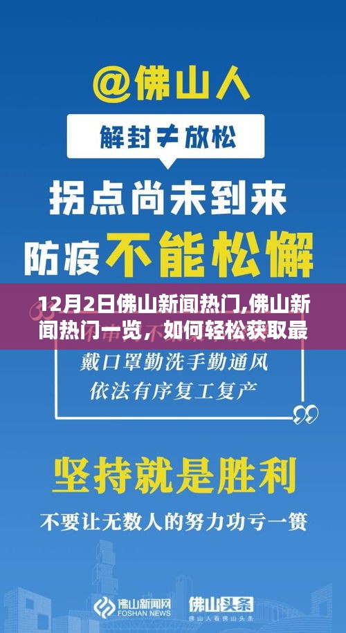 12月2日佛山新闻热点详解，轻松获取最新资讯的步骤指南（适用于初学者与进阶用户）