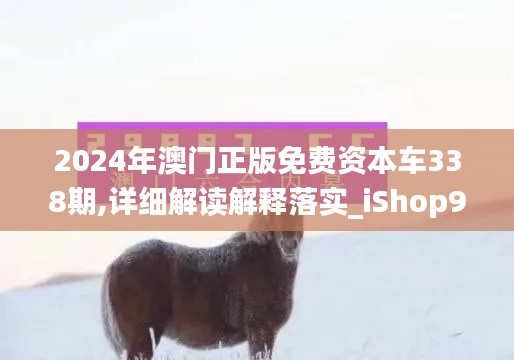 2024年澳门正版免费资本车338期,详细解读解释落实_iShop98.708-6