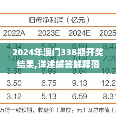 2024年澳门338期开奖结果,详述解答解释落实_复古款77.527-4