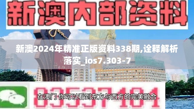 新澳2024年精准正版资料338期,诠释解析落实_ios7.303-7