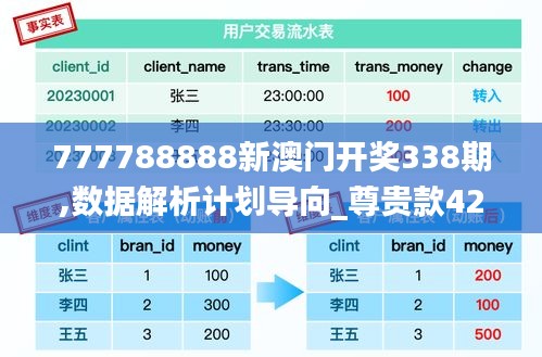 777788888新澳门开奖338期,数据解析计划导向_尊贵款42.863-2