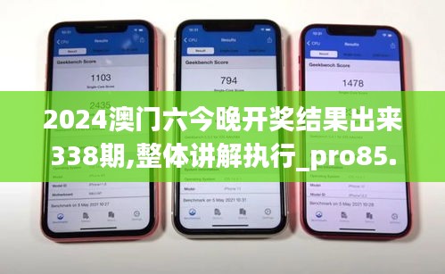 2024澳门六今晚开奖结果出来338期,整体讲解执行_pro85.111-4