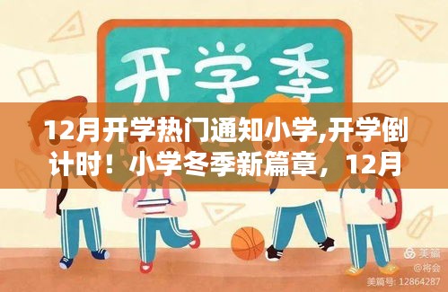 小学冬季开学倒计时，最新通知与热门资讯一网打尽