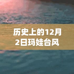 深度解析，历史上的玛娃台风在12月2日的热门情况回顾