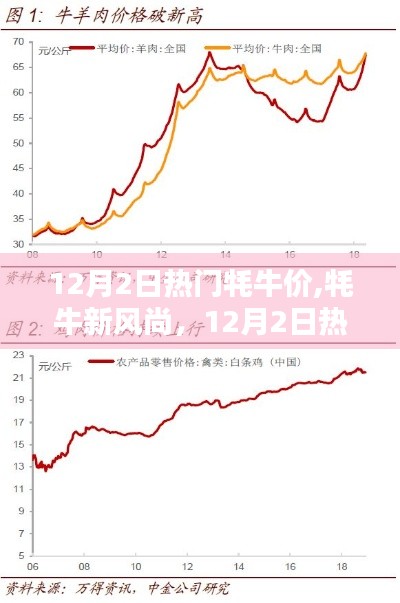 12月2日热门牦牛价产品全面评测，探索牦牛新风尚