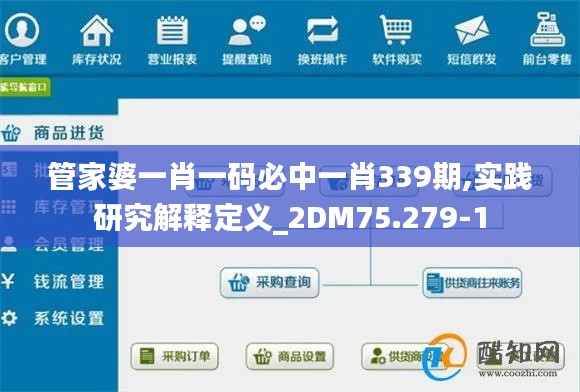 管家婆一肖一码必中一肖339期,实践研究解释定义_2DM75.279-1