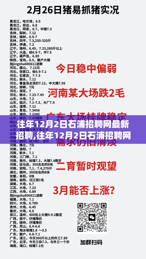 往年12月2日石浦招聘网最新招聘现象深度解析与观点探讨，聚焦个人立场分析