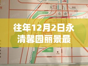 永清馨园丽景往年12月2日重点项目深度解析及最新动态