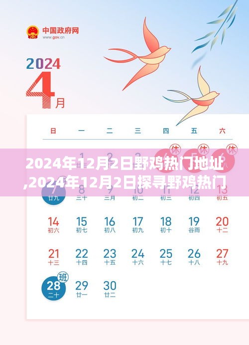 2024年野鸡热门地址探寻攻略，入门与进阶指南