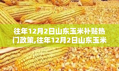 山东玉米补贴政策详解，如何申请与利用补贴，历年政策回顾与解读