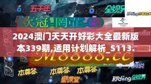 2024澳门天天开好彩大全最新版本339期,适用计划解析_S113.487-1