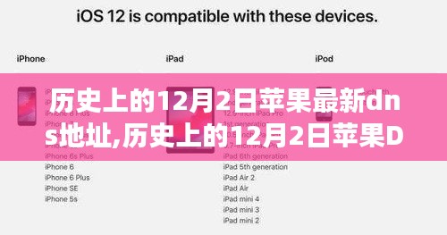 深度探析，历史上的苹果DNS地址变迁及其在12月2日的最新DNS地址影响