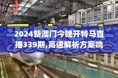 2024新澳门今晚开特马直播339期,高速解析方案响应_超值版17.665-2