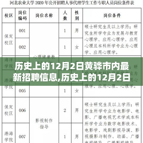 历史上的12月2日黄骅市招聘信息概览与深度评测