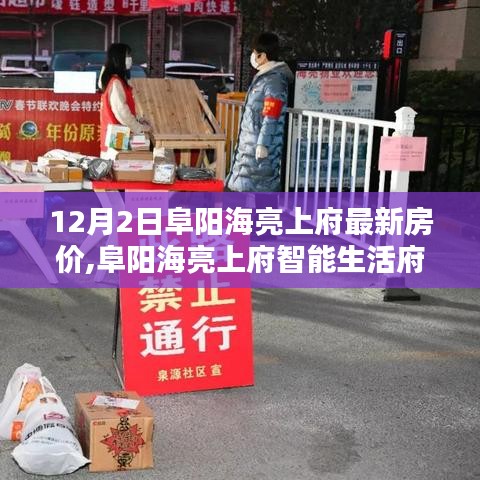 阜阳海亮上府，智能生活府邸房价揭秘与未来高科技生活体验展望