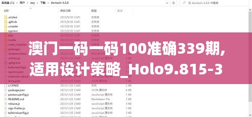 澳门一码一码100准确339期,适用设计策略_Holo9.815-3