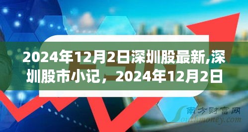 2024年12月2日深圳股市最新动态与温馨时光小记