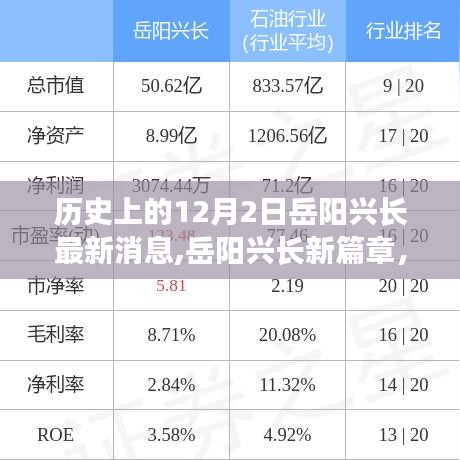 岳阳兴长，历史回响与友情故事的温馨冬日新篇章（附最新消息）