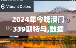 2024年今晚澳门339期特马,数据驱动方案实施_V版15.793-7