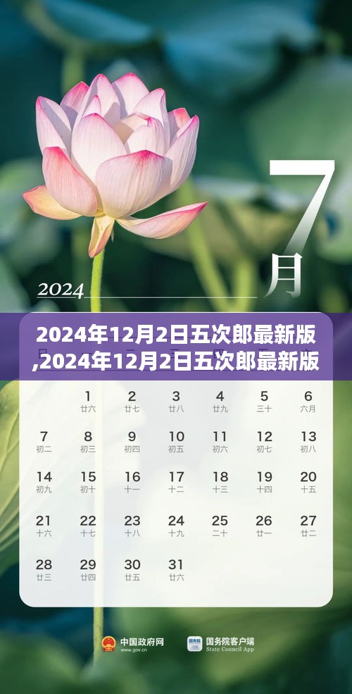 2024年12月2日五次郎最新版全面解析，技术革新与用户体验的未来引领者