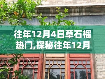 探秘草石榴独特小店，往年12月4日的热门秘境