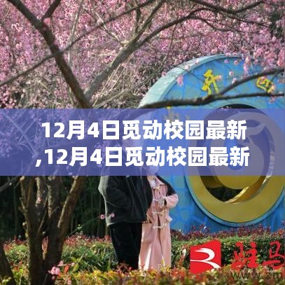 深度评测与介绍，12月4日觅动校园最新动态