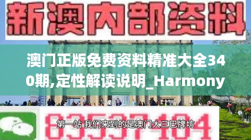 澳门正版免费资料精准大全340期,定性解读说明_Harmony99.794-7