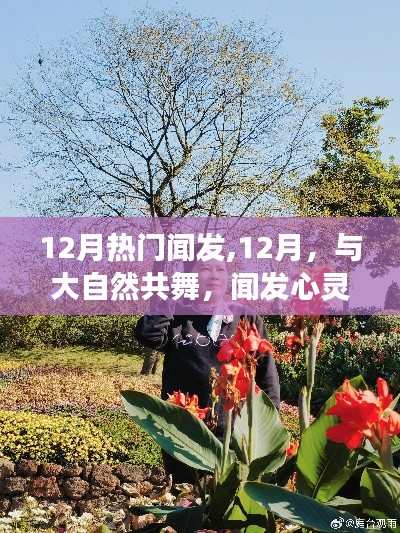 12月心灵之旅，与大自然共舞，探寻热门闻发