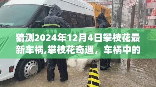 攀枝花奇遇，车祸中的温情故事，预测2024年12月4日最新车祸事件揭秘