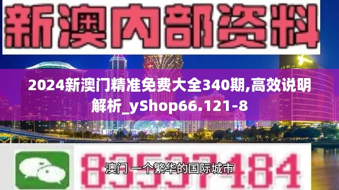 2024新澳门精准免费大全340期,高效说明解析_yShop66.121-8