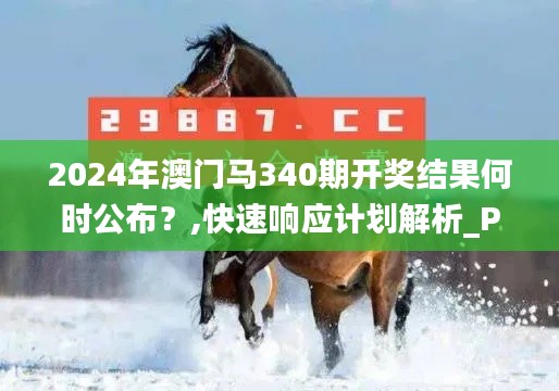 2024年澳门马340期开奖结果何时公布？,快速响应计划解析_Plus22.436-7