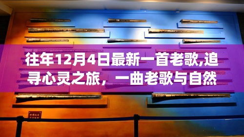 追寻心灵之旅，老歌与自然的和谐对话——每年12月4日的音乐回忆