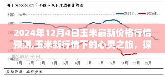 玉米行情下的心灵探索，自然美景与内心宁静的追寻