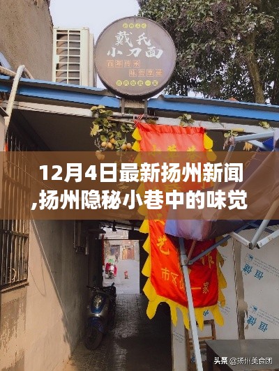 扬州隐秘小巷特色小店揭秘，味觉奇迹的惊喜之旅