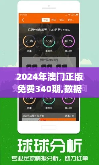 2024年澳门正版免费340期,数据驱动分析解析_R版64.563-6