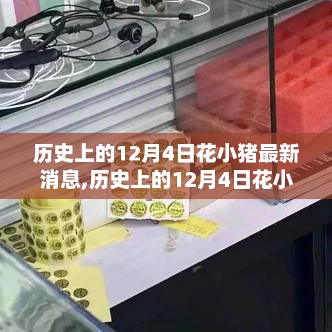 历史上的12月4日花小猪最新动态与任务指南，全面解析技能学习与任务完成攻略