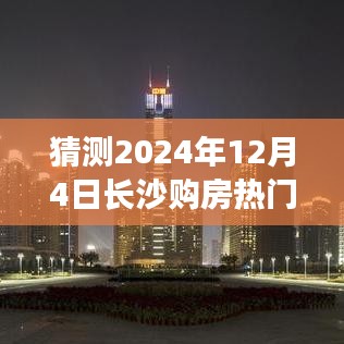 揭秘未来长沙购房新政策，心灵与自然共舞的探索之旅（预测至2024年12月4日）