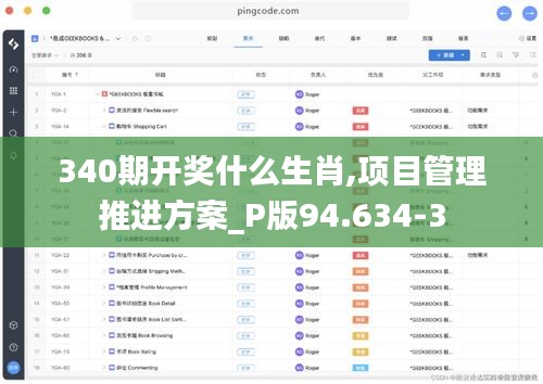 340期开奖什么生肖,项目管理推进方案_P版94.634-3