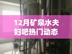 探秘矿泉水夫妇吧十二月热门动态揭秘