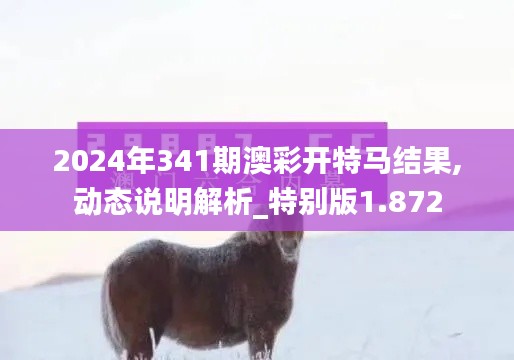 2024年341期澳彩开特马结果,动态说明解析_特别版1.872