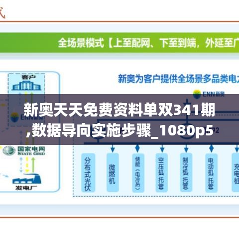 新奥天天免费资料单双341期,数据导向实施步骤_1080p5.237