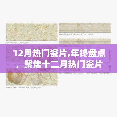 年终盘点，聚焦十二月热门瓷片风采