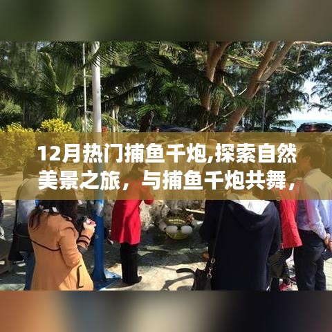 12月热门捕鱼千炮，自然探索与内心宁静之旅