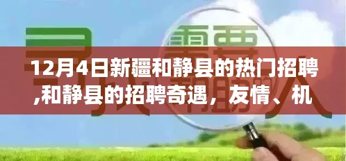 和静县招聘奇遇，友情、机遇与冬日暖阳下的工作机遇