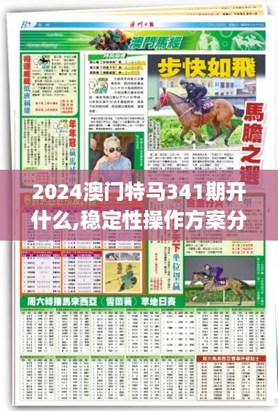 2024澳门特马341期开什么,稳定性操作方案分析_N版10.710