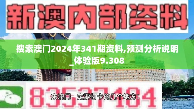 搜索澳门2024年341期资料,预测分析说明_体验版9.308