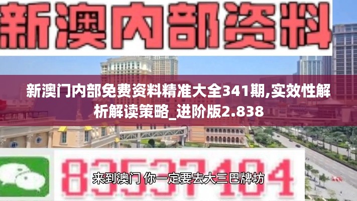 新澳门内部免费资料精准大全341期,实效性解析解读策略_进阶版2.838