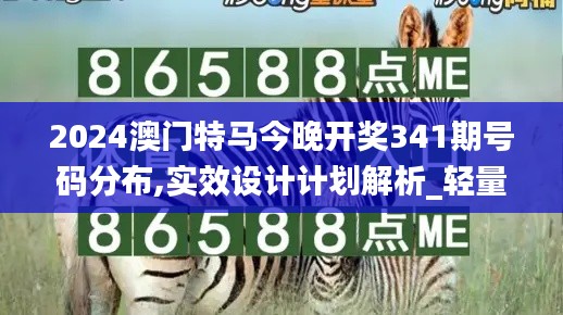 2024澳门特马今晚开奖341期号码分布,实效设计计划解析_轻量版1.379