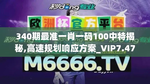 340期最准一肖一码100中特揭秘,高速规划响应方案_VIP7.470